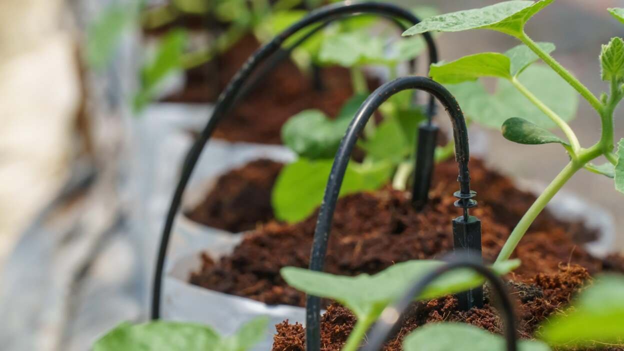 Drip Irrigation Products in Pakistan for Pakistan irrigation system