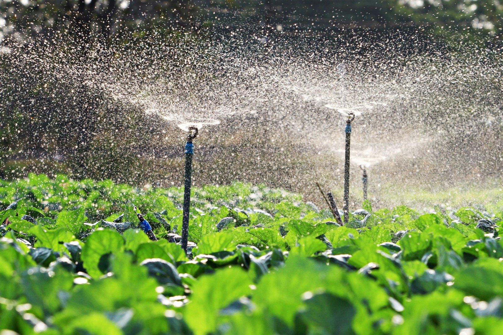 irrigation design and consultancy project in Islamabad and Rawalpindi