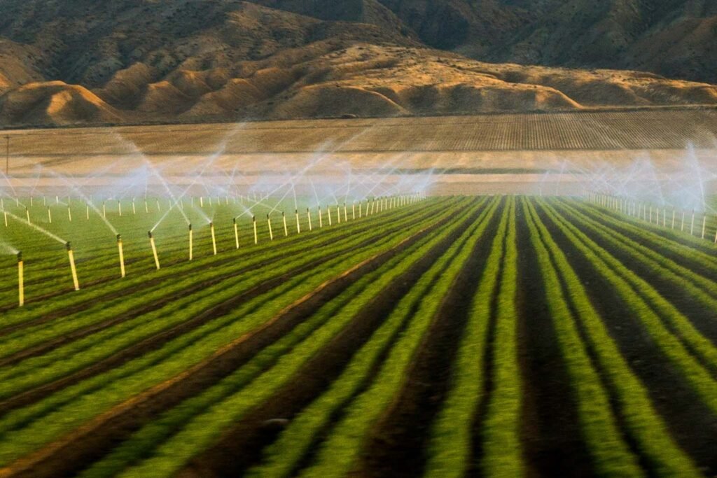 rain gun irrigation system design and pipe network